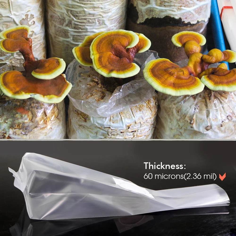 버섯 재배 가방, 버섯 심기 창, 식용 버섯 팩, 검은 - Mushroom Spawn Bag 리뷰 및 가격