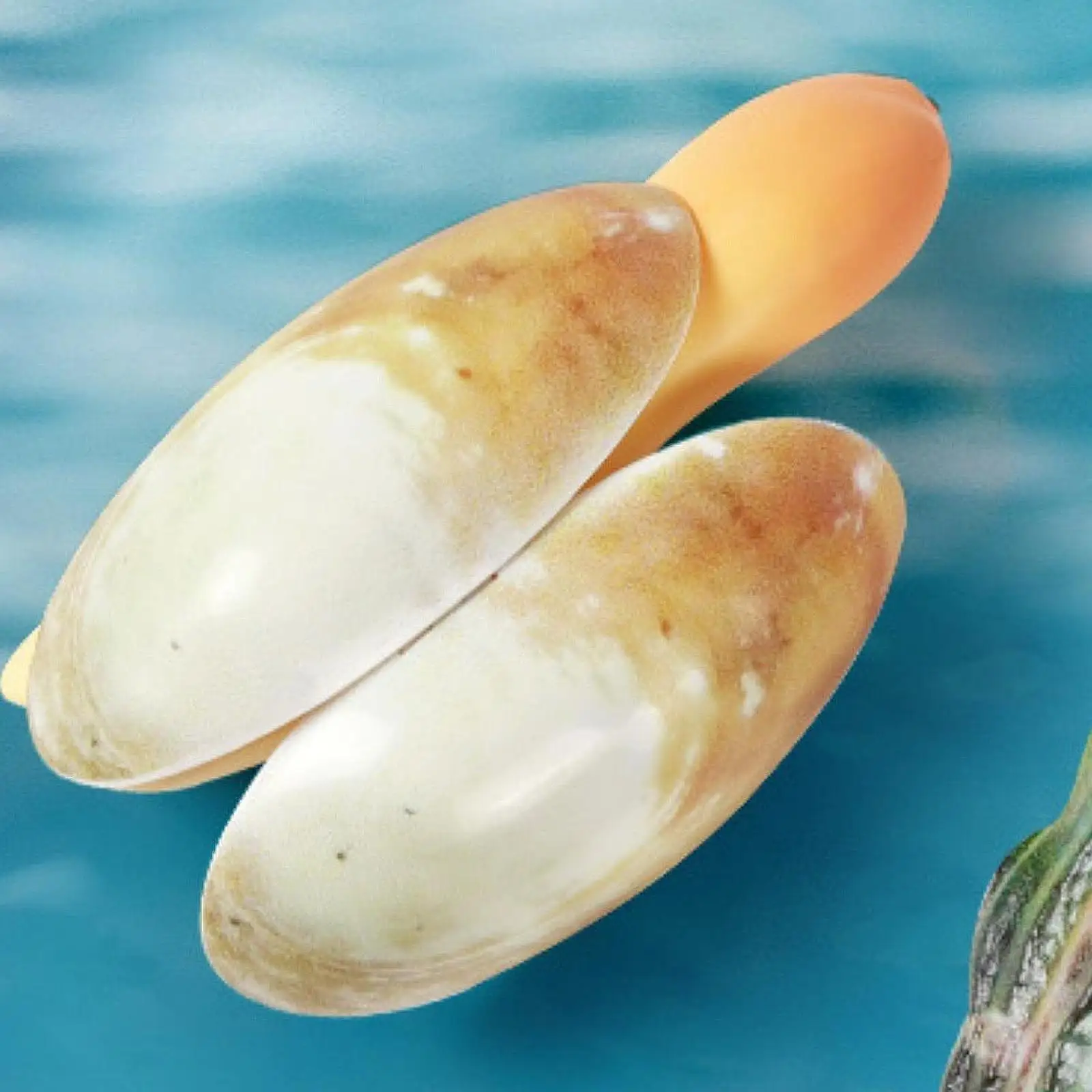

Simulation Geoduck Water Spray Toy Water Spraying Toy for Outside Backyard