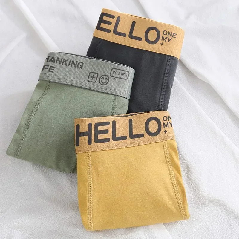 2024 NEW Men's Panties Soft Cotton Boxers Comfortable Breathable Underwear Teenagers Sports Underpants Men's Underwears