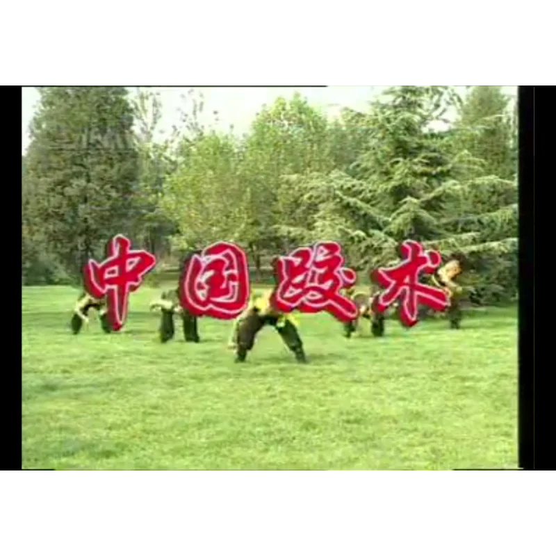 Chinese Wrestling By Li Baoru  Offense and Defense in Practice VCD Chinese Martial Arts Video Tutorials