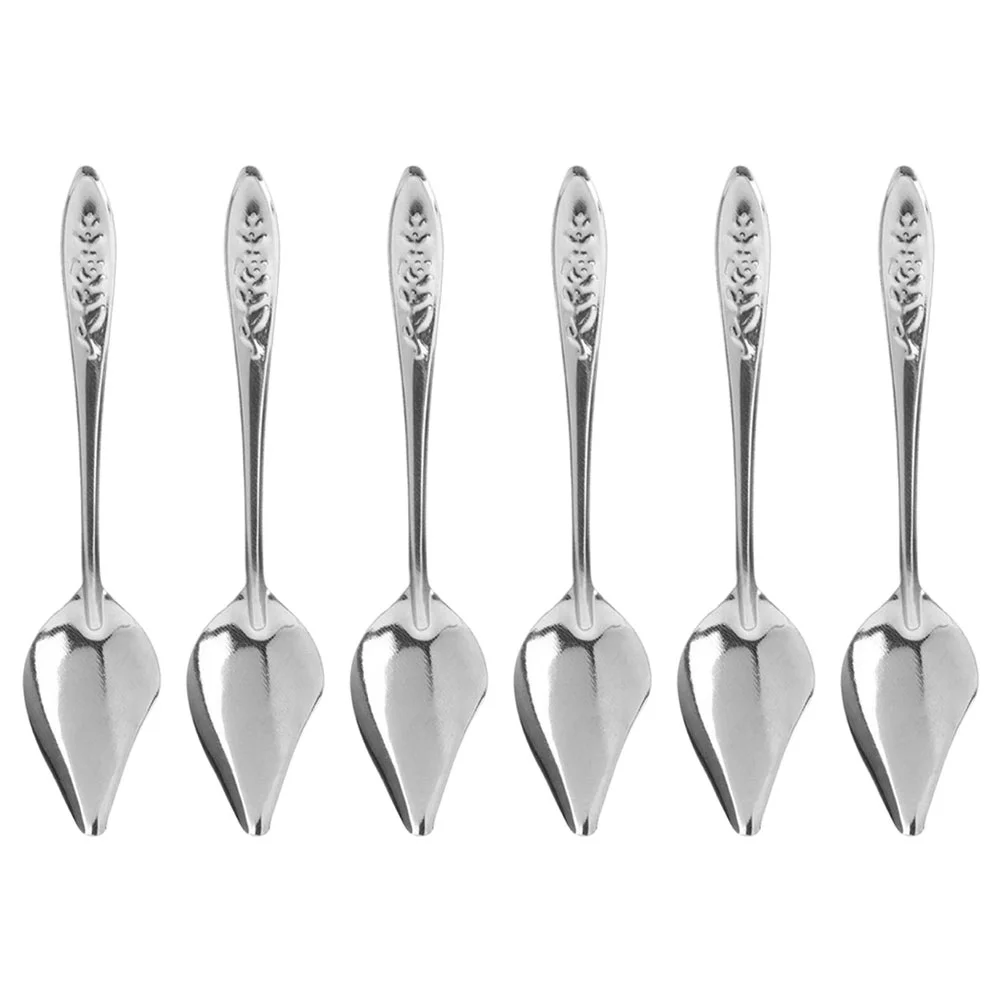 

6 Pcs Stainless Steel Spoon Baby Bird Food for Hand Feeding Feeder Injector Professional Raised