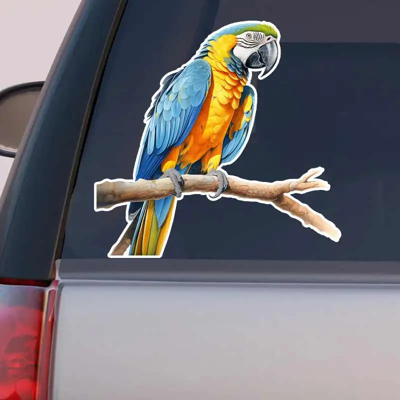 Colorful Parrot  Car Stickers Decal Vinyl Detachable Waterproof Outdoor Car Bumper Window Notebook Computer Decoration Y446