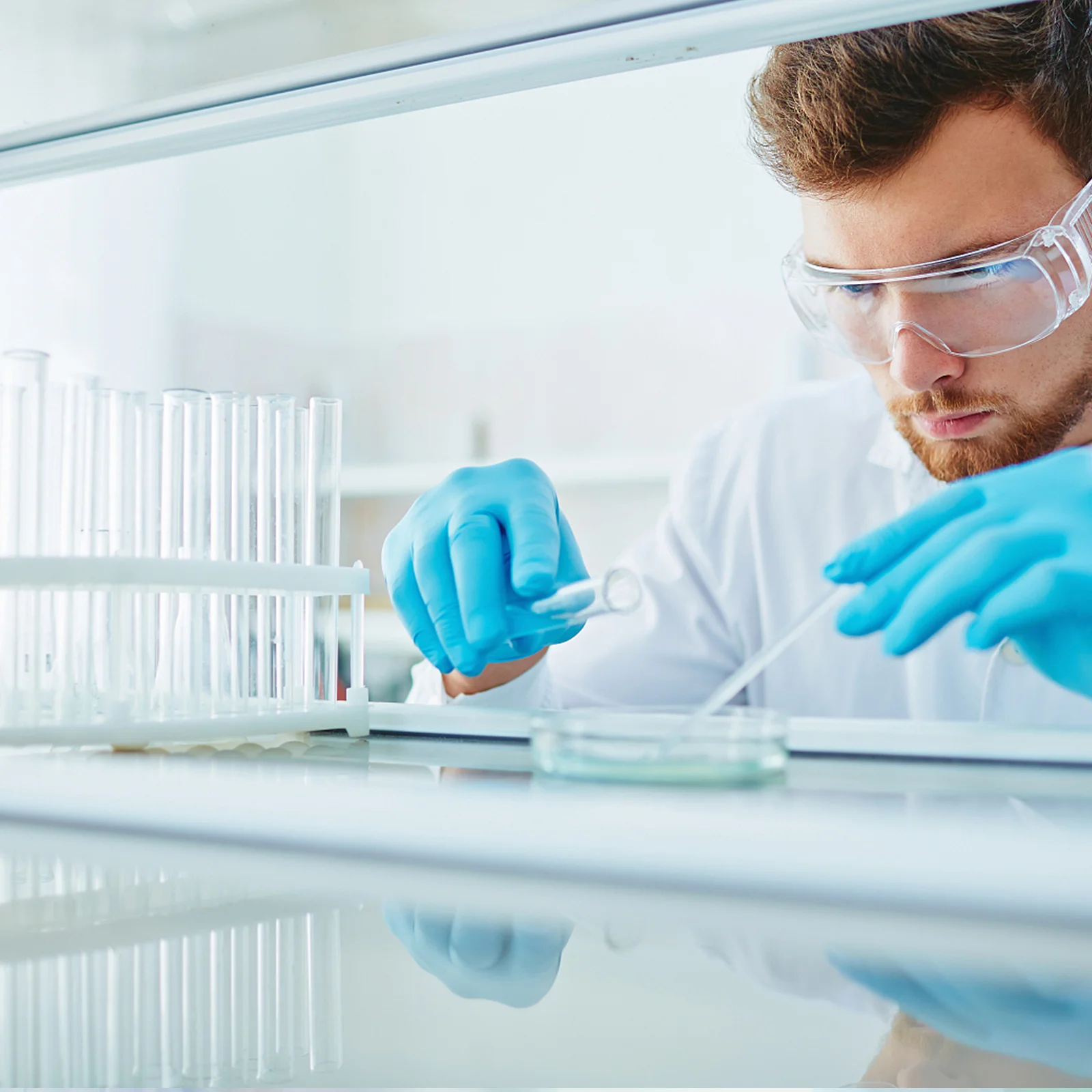 

1Pcs School Useful Petri Dishes High Quality Glass Simple Design for Experiment and Research School Experiment Petri Dishes