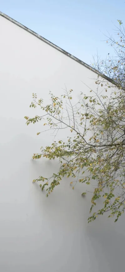 

25KG Digital Servo Full Metal Gear High Torque Waterproof for RC Car Crawler Robot Control Angle 270°