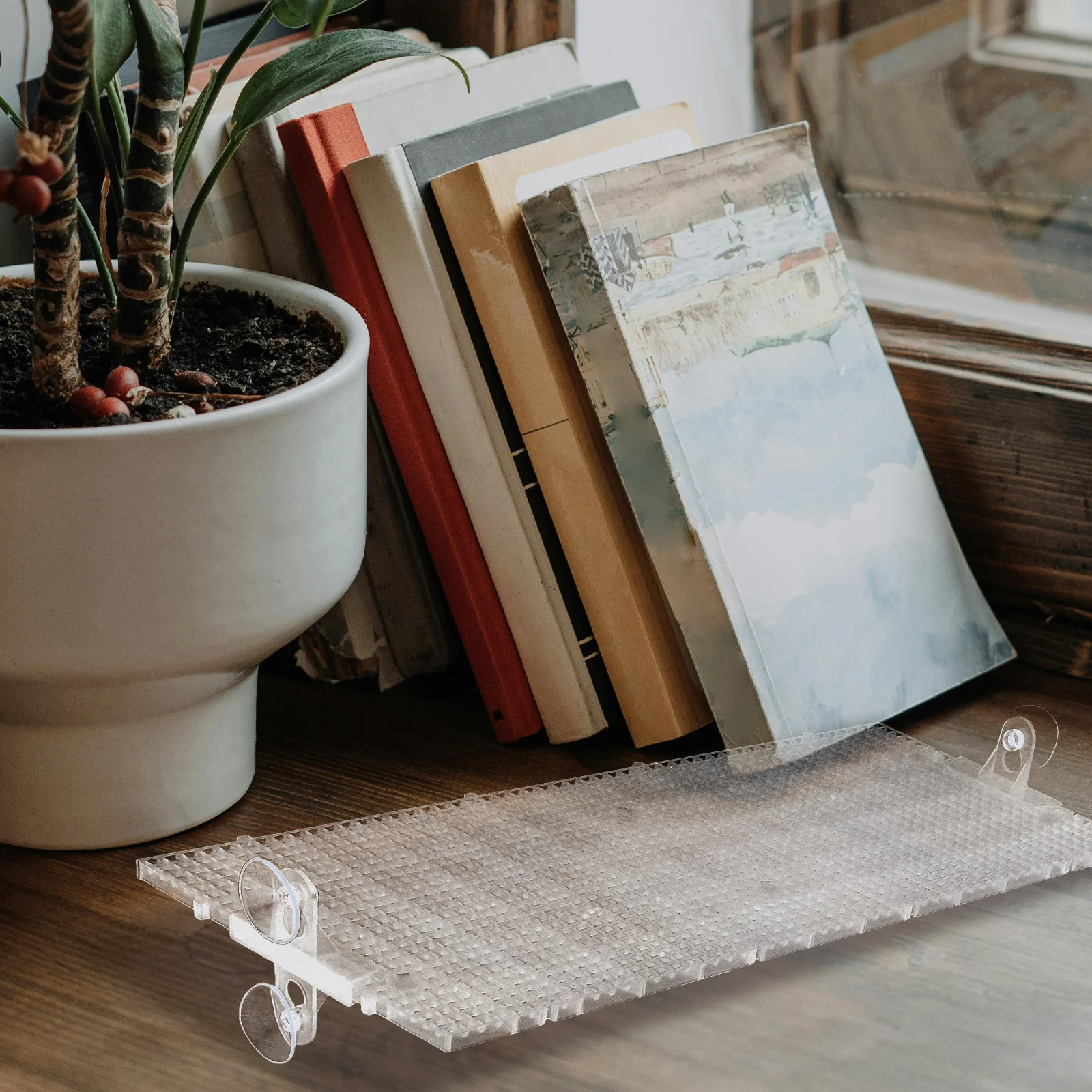 

1 комплект, базовый лоток для цветов, пластиковый разделитель сетки, прозрачный приподнятый поднос, балкон, садоводство для корней, изолирующая сетка