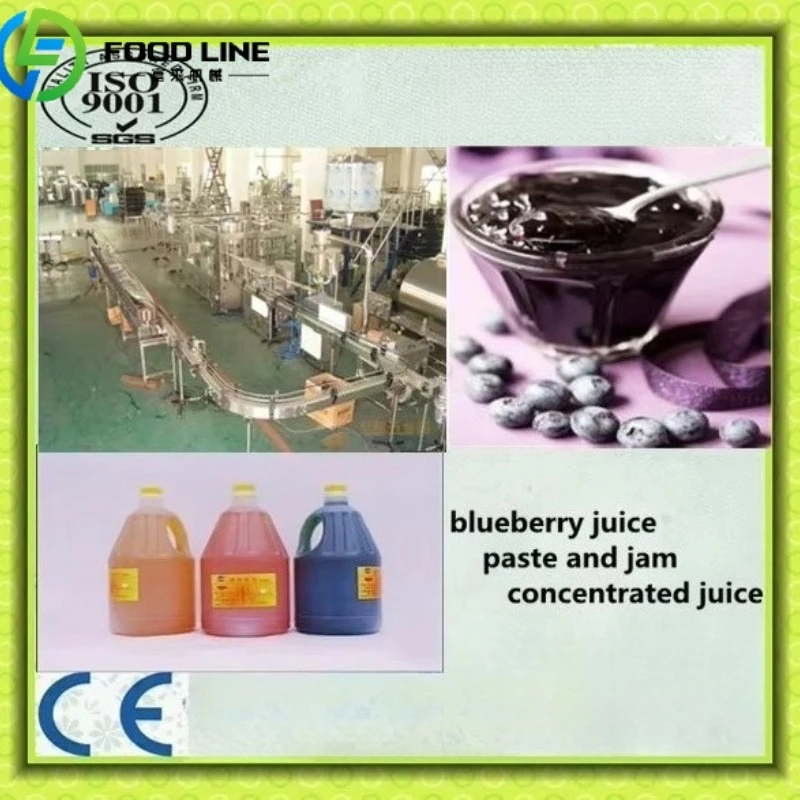 Fruit Jam Production Line From China Industrial Fruit Vegetable Puree Apricot Jam Making Machine Production Line