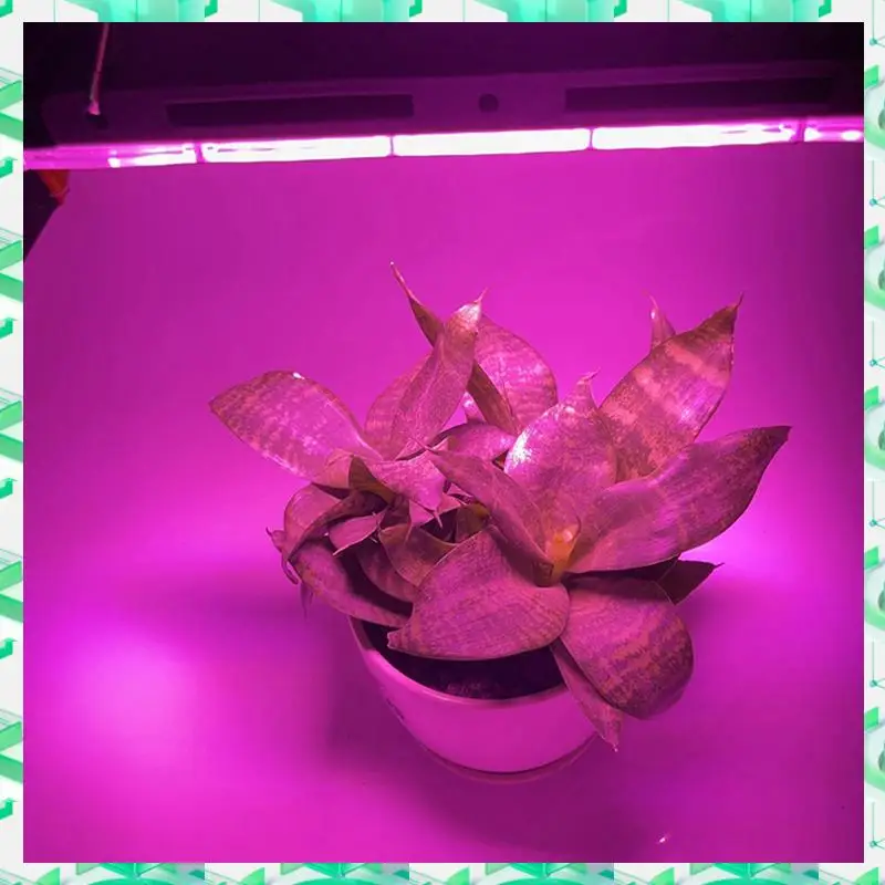 

FIZP Phytolamp Range Lamp Outdoor Floodlight For Plants Tent Flower Seeding 200W EU Plug