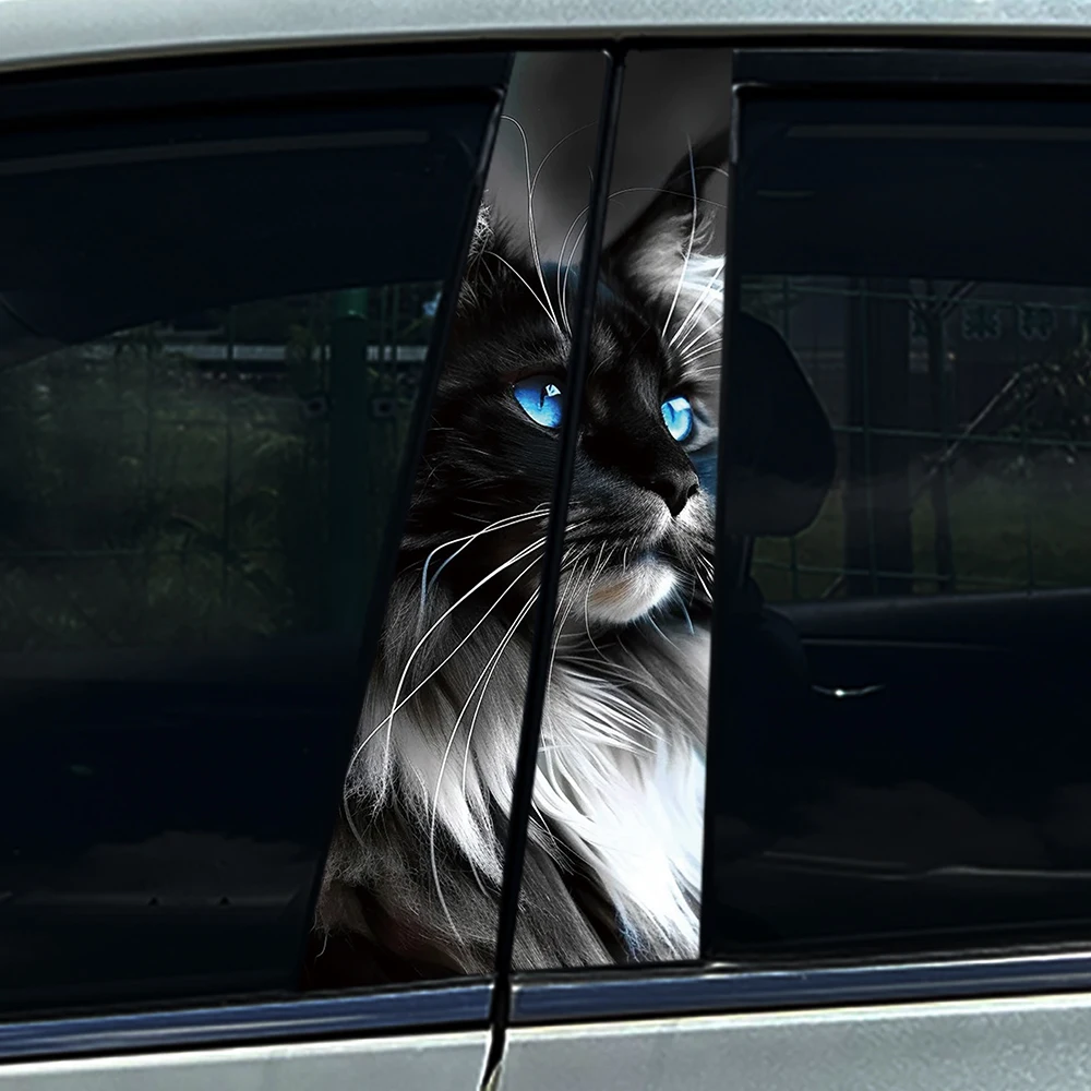 2PCS 3D Black White Maine Coon Cat with Blue Eyes Car B Pillar Decal, Upgrade PET Material, Customizable Waterproof Auto Sticker