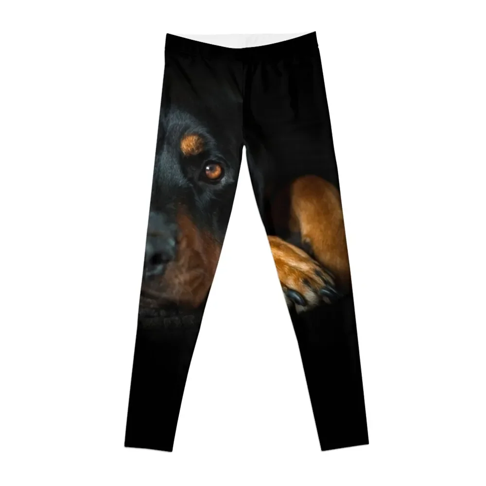 

Rottweiler Resting Leggings legging push up sports for gym sports for push up Womens Leggings