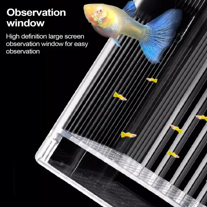 Guppy caixa de reprodução flutuante guppy caixa de reprodução para peixes pequenos vida aquática alimentação incubadora tanque divisor claro caso de descanso