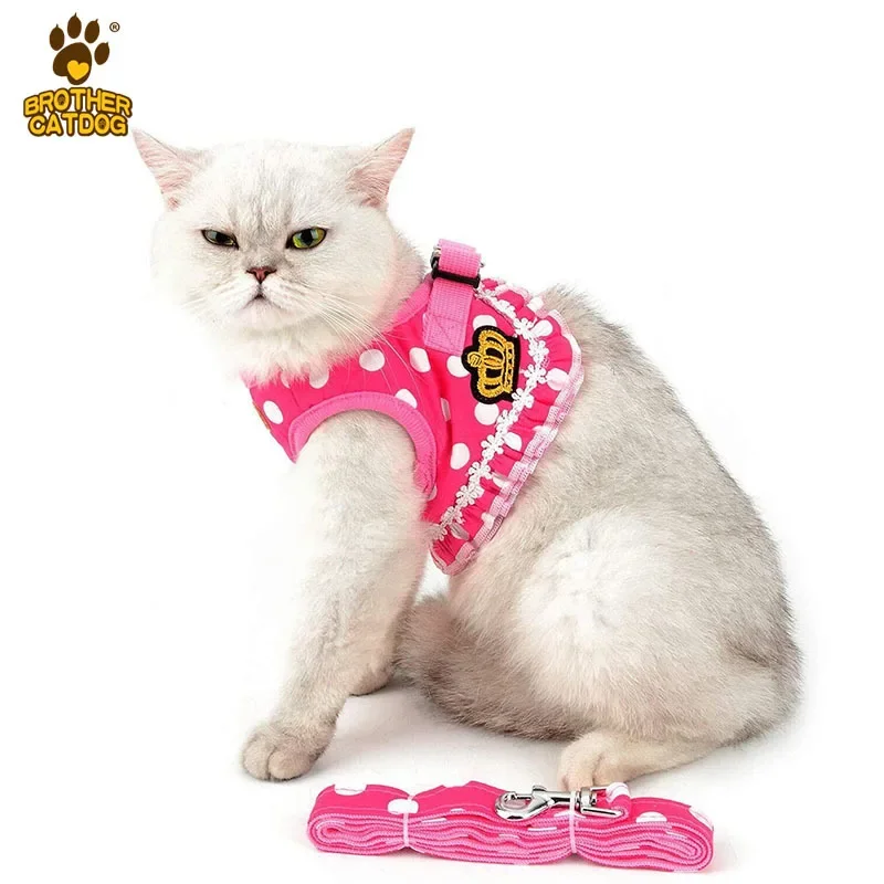 Ensemble de sangles de poitrine personnalisées pour chiot, vêtements pour animaux de compagnie, laisse pour chien, gilet de sangle de poitrine, fournitures pour chats