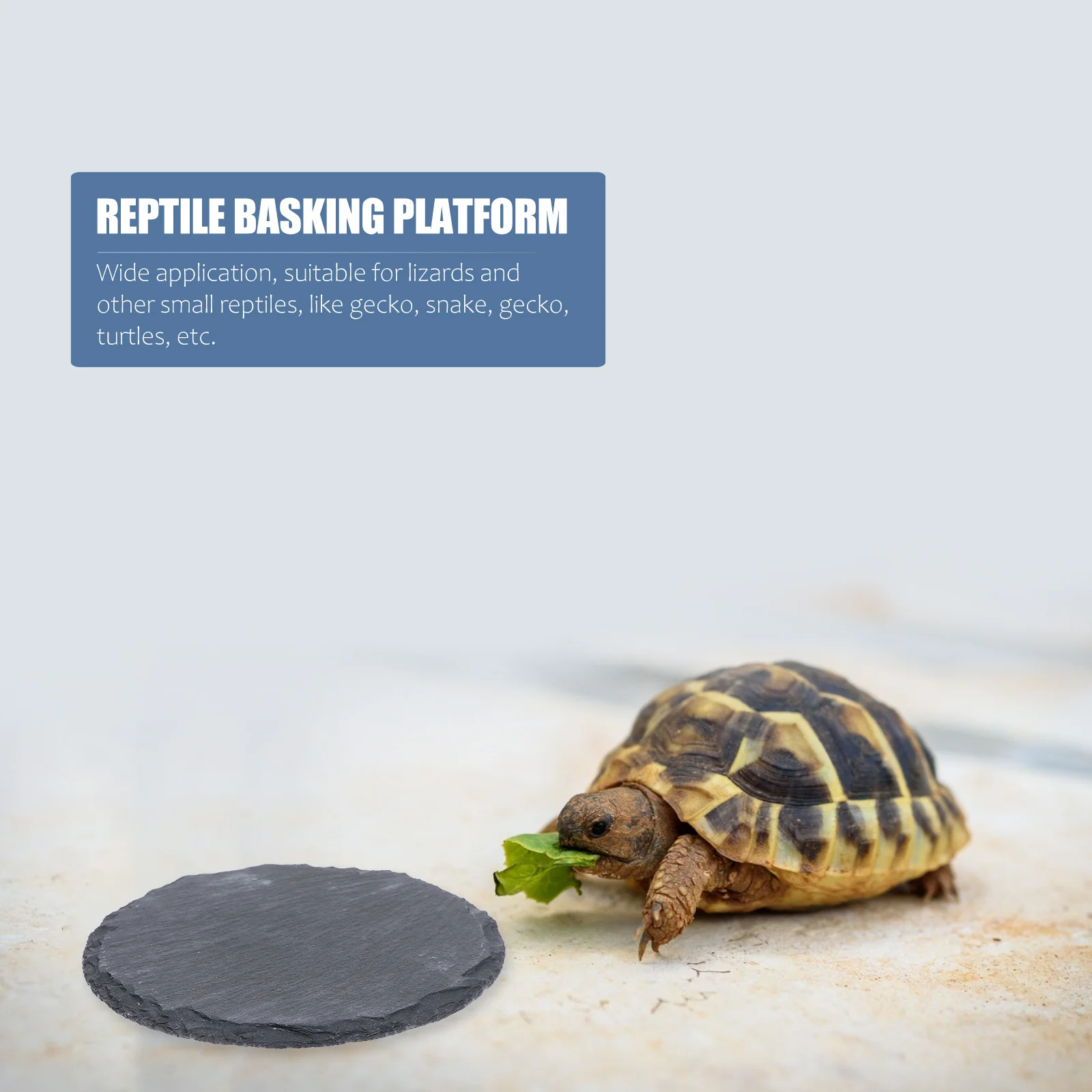 

2Pcs Stone Plate Reptile Basking Platform Natural Lizard Turtle Tortoise Feeding Dish Tank Decoration Reptile Stone Dish