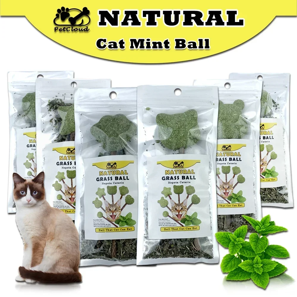 Cute Shape Fresh Cat Catnip Toys Cat Mint Natural Safety commestibile forma carina Pet Mint Lollipop Catnip Ball Cat Toy denti puliti