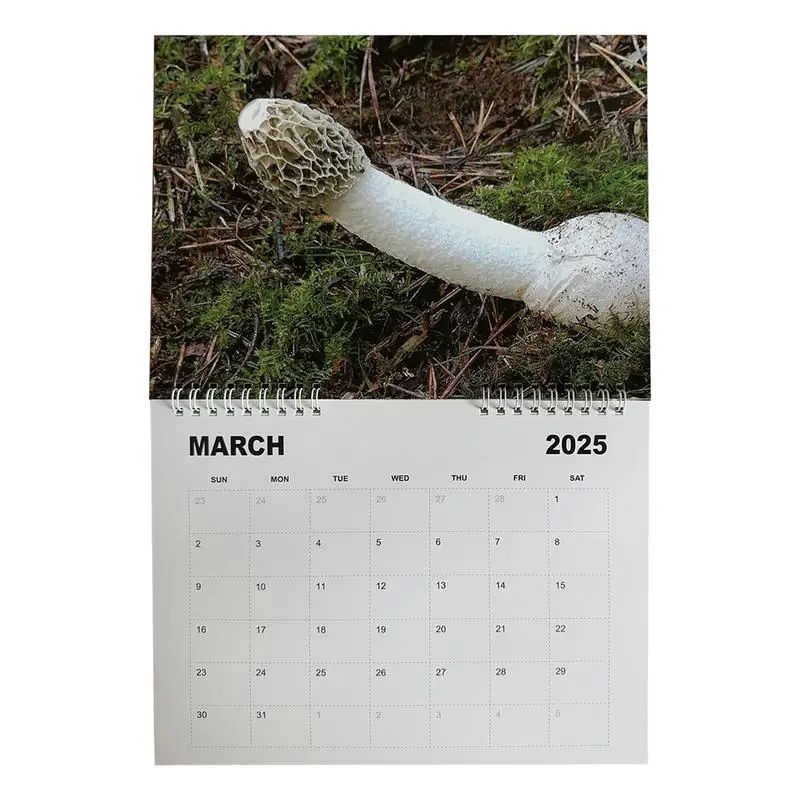 Lustige Dicks In Nature-Kalender, Witz, Monatsplanung, Bindung, Wandkalender 2025, Nature's Dicks, zum Aufhängen, Wandkalender, Streich-Geschenk