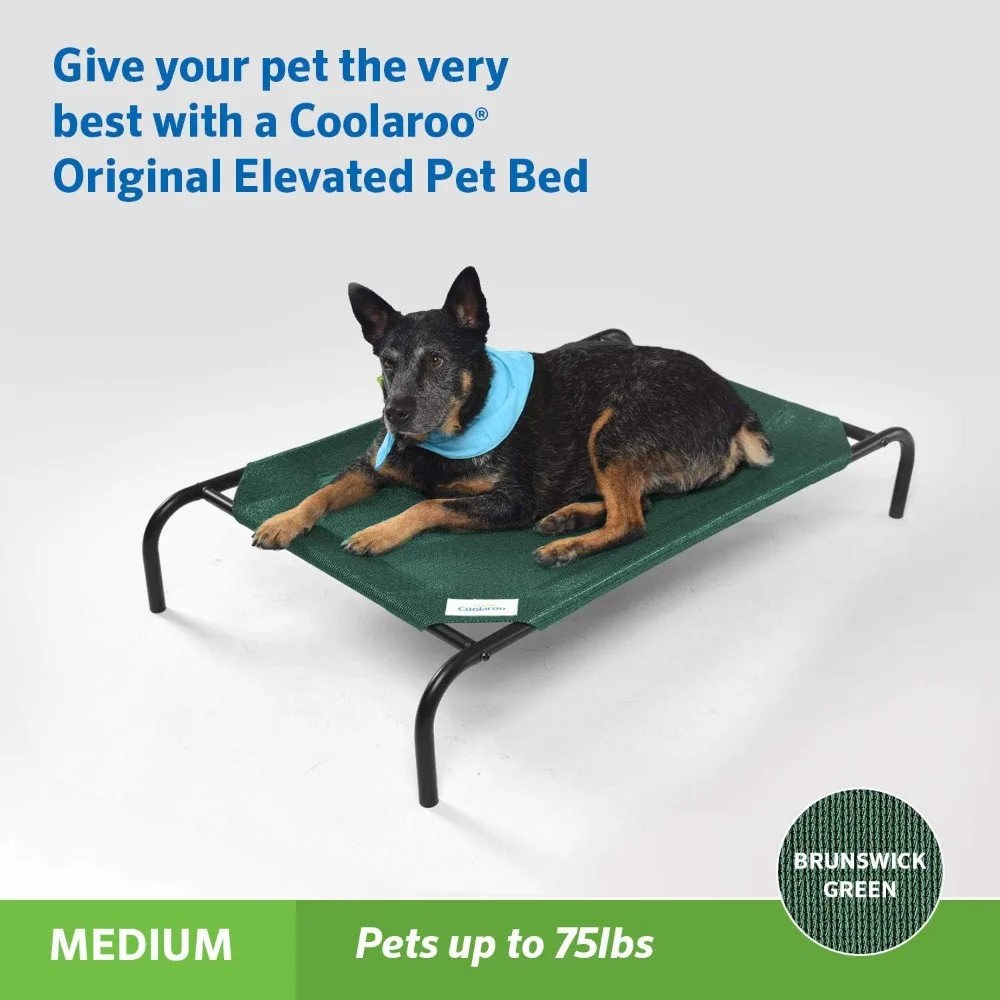 Elevated Cooling Pet Bed, Medium, Brunswick Green - Breathable & Joint Support