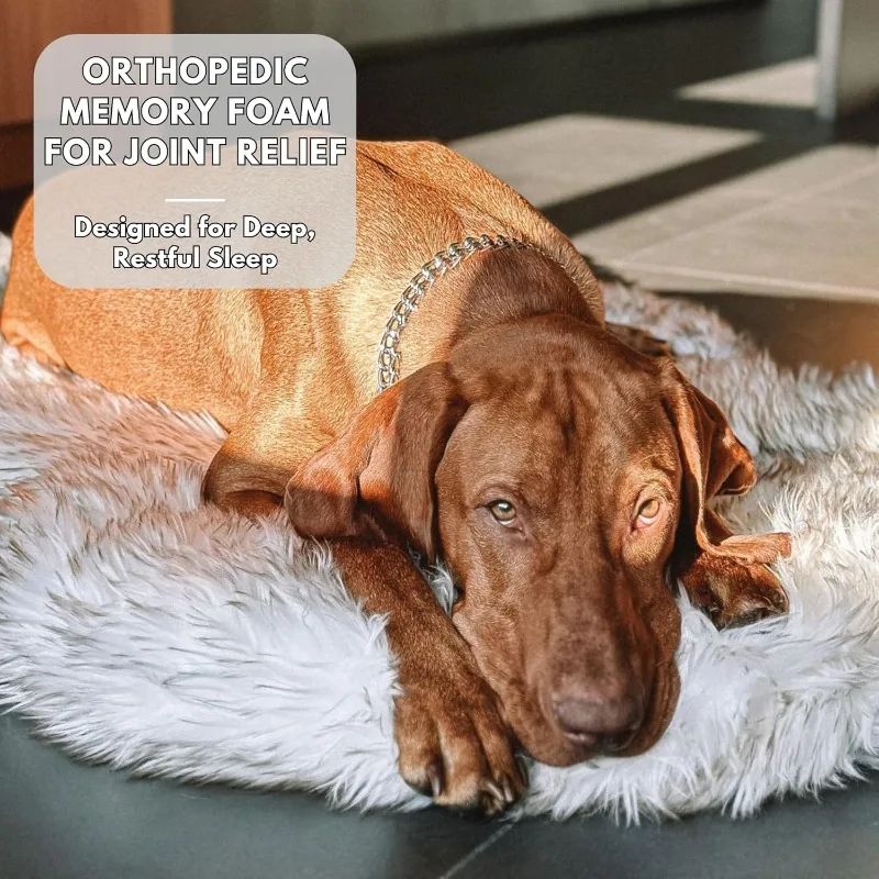 سرير كلب فاخر لتقويم العظام من الفرو الصناعي، سرير كلب من إسفنج الذاكرة ​   ل ​   حيوانات أليفة صغيرة ومتوسطة وكبيرة مقاس XL، سجادة للحيوانات الأليفة الرقيقة