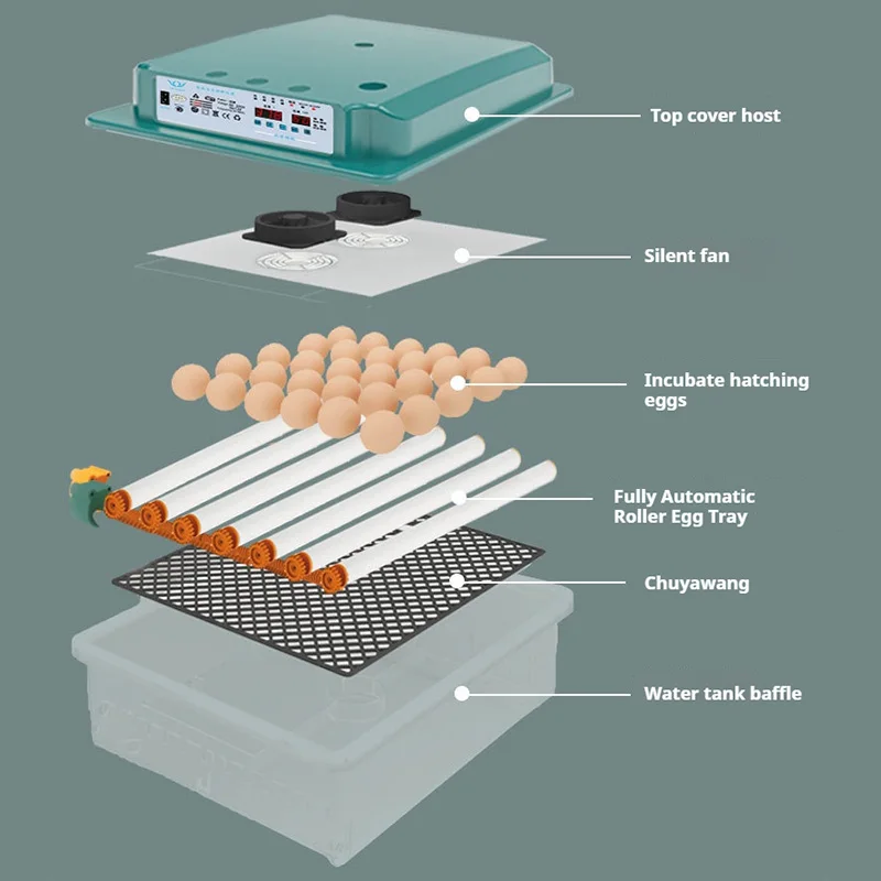 Inkubator Telur Otomatis Pintar Ukuran Kecil Untuk Penggunaan Rumah Tangga, Cocok Untuk Telur Ayam, Bebek, Angsa, Merpati, Puyuh Dengan Pengaduk Otomatis, Pemantau Telur, dan Daya Ganda