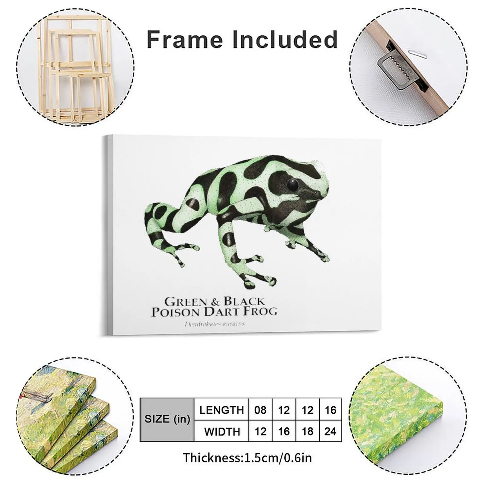 Green And Black Poison Dart Frog Dendrobates  Comes Canvas Painting Design Framed Wall Paintings