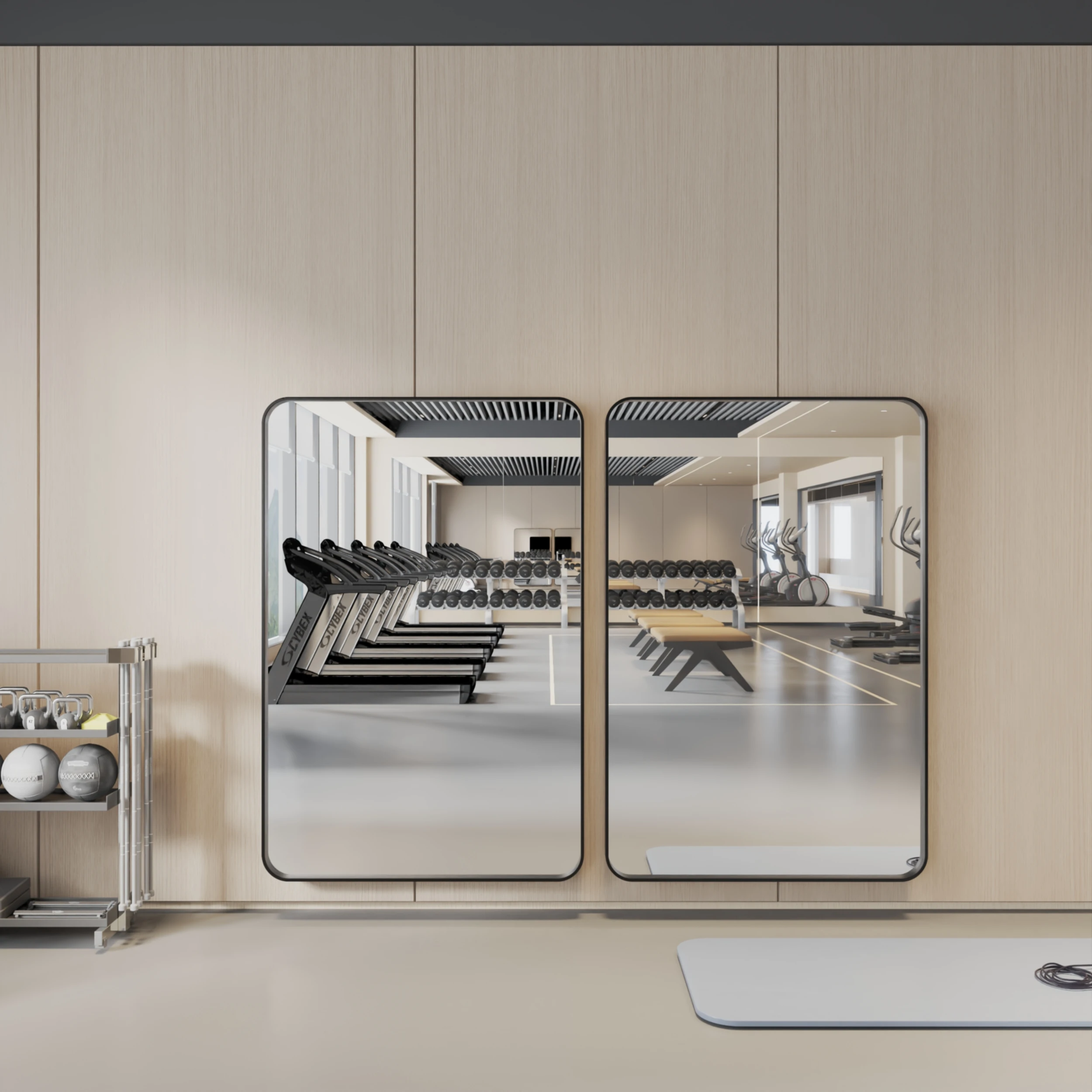 Matte black aluminum frame rounded corner full body fitness mirror modern fitness mirror