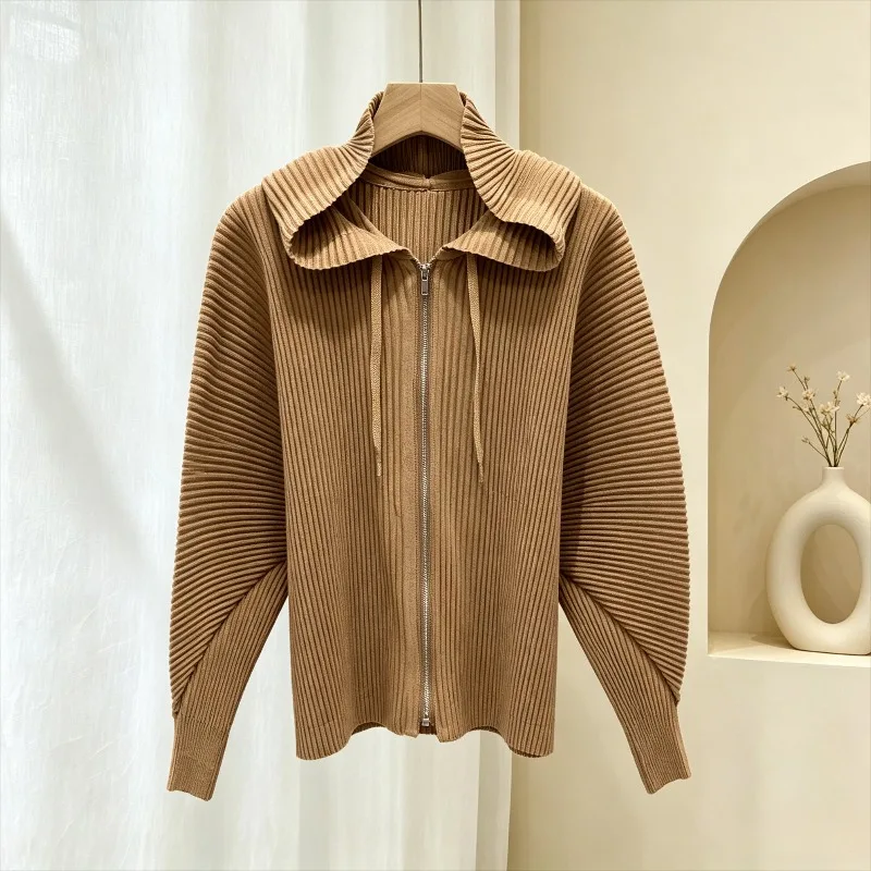  Pleated Autumn Winter Zipper Hoodie New Long Sleeve Jacket Fashion Casual Versatile Thick Fabric Women's Jacket Clothing