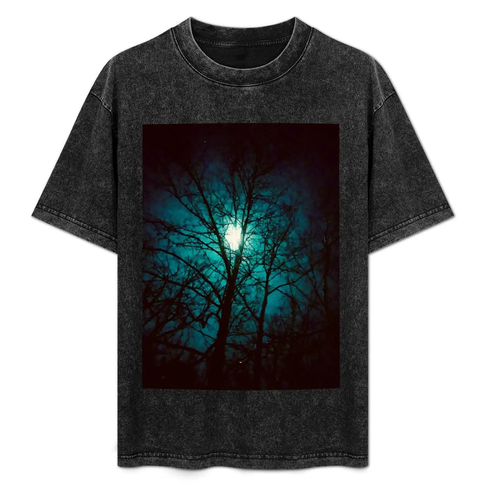 

Web of Deceit | Photograph by Nicholas Brendon T-Shirt Relaxed Fit Casual Short Sleeve Top