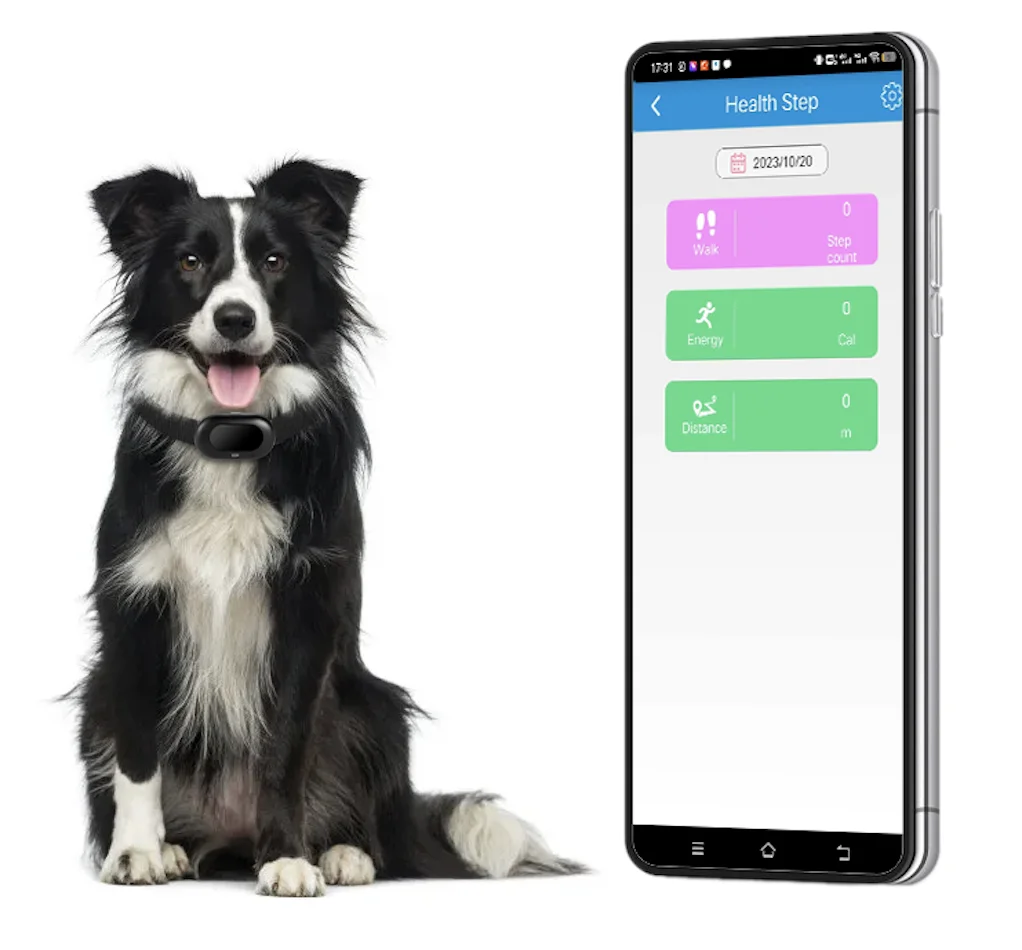 Collar GPS de Rastreo para Mascotas STLFDog, Rastreo en Vivo en Móviles 2G + 4G, Rastreador GPS para Coche y Perro, Compatible con Entrenamiento por Voz, Rastreo de Mascotas