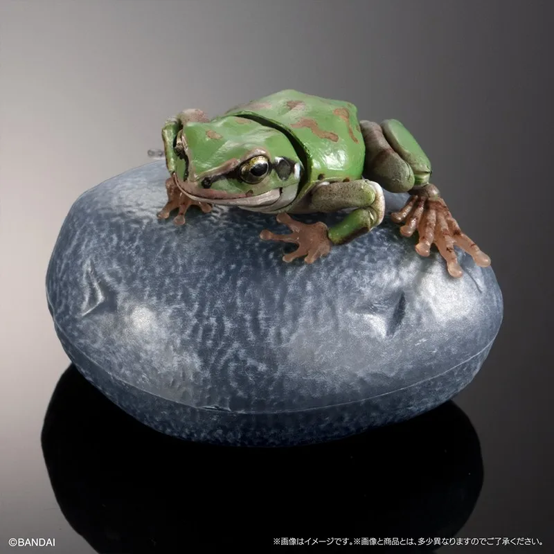 New In Stock BANDAI tree frog 02 PREMIUM GASHAPON Egg Big Biological Map Of Rhacophorus Tree Frog Movable Model Gacha Toys