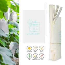 50/100PCS White Paper Grape Protection Bags for Garden Orchard Fruits Bird Insect Control Protect Cover Waterproof Grape Pouchs