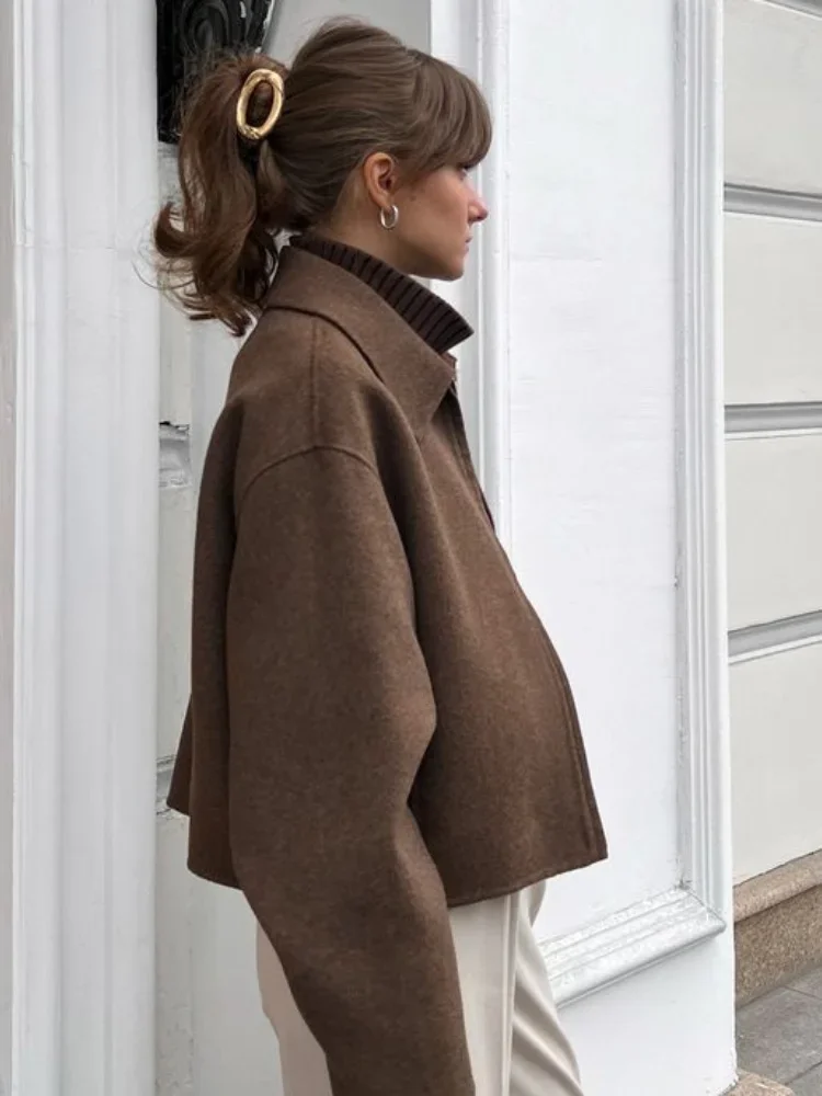 Lapel Zipper Woolen Coat Short Jacket Wool Outwear Top Casual Baggy Minimalism Elegant Cashmere Overcoat Women's Clothing Spring