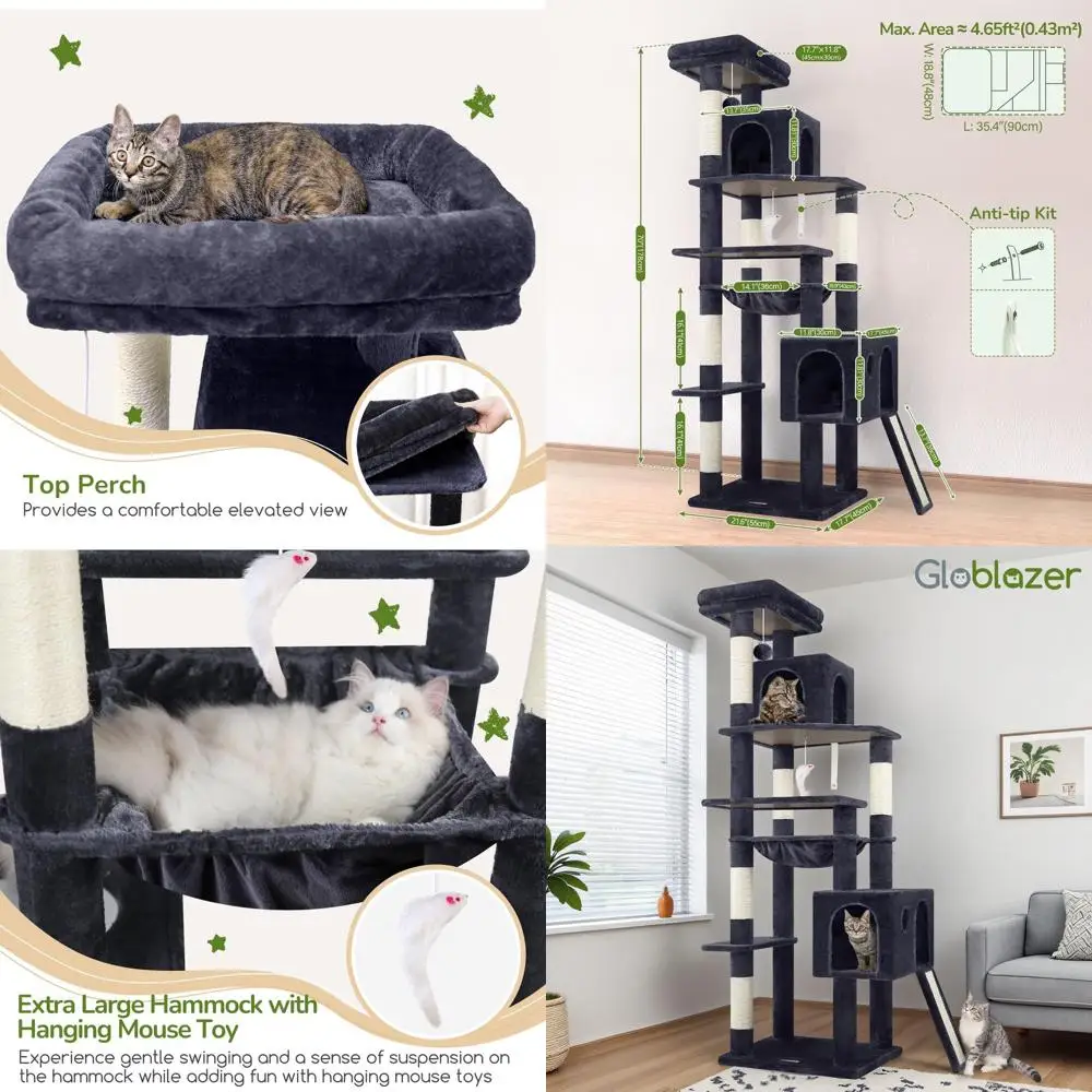 Sturdy 70 Indoor Ca…