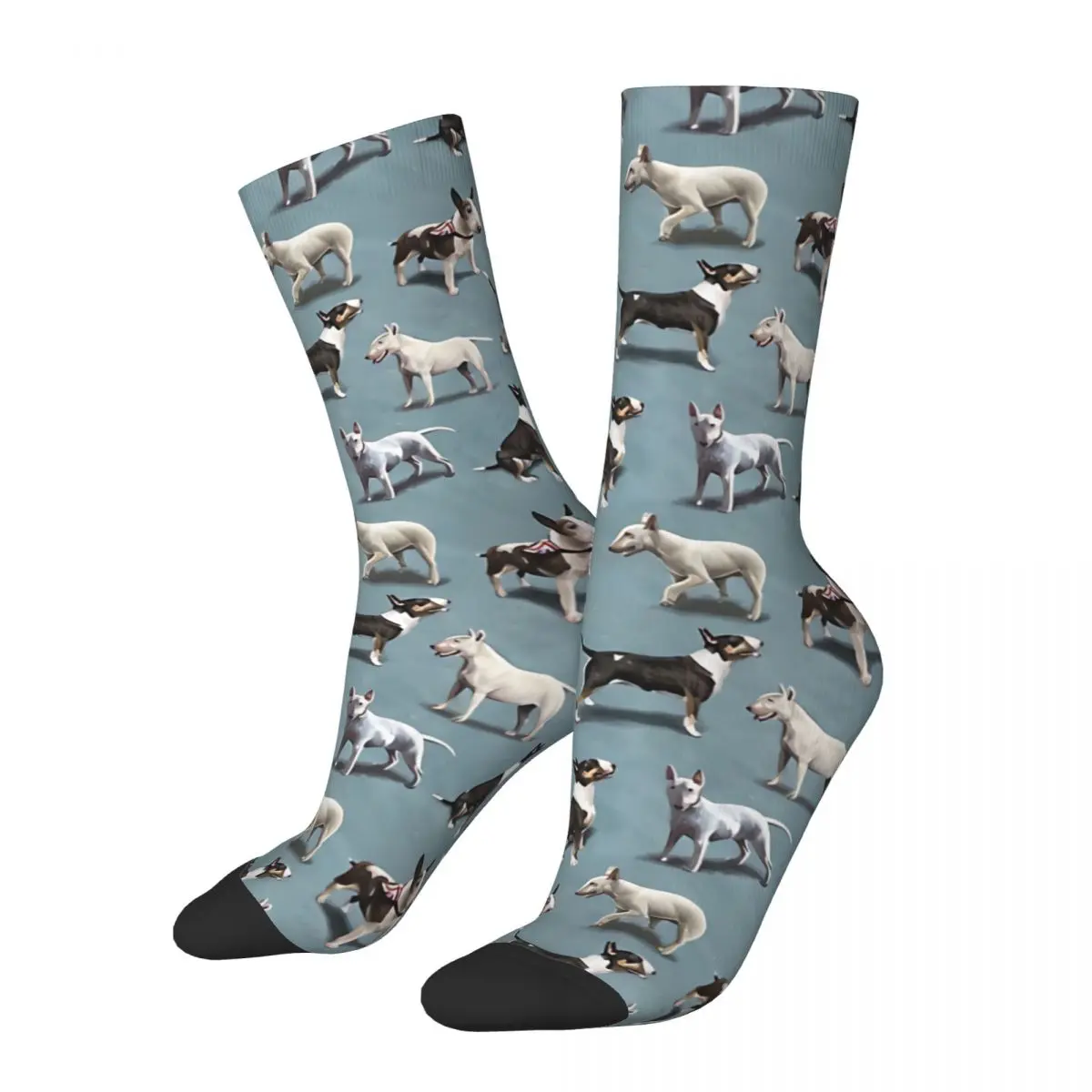 The Bull Terrier Animal Walk Men Women Socks Windproof Novelty Spring Summer Autumn Winter Stockings Gift