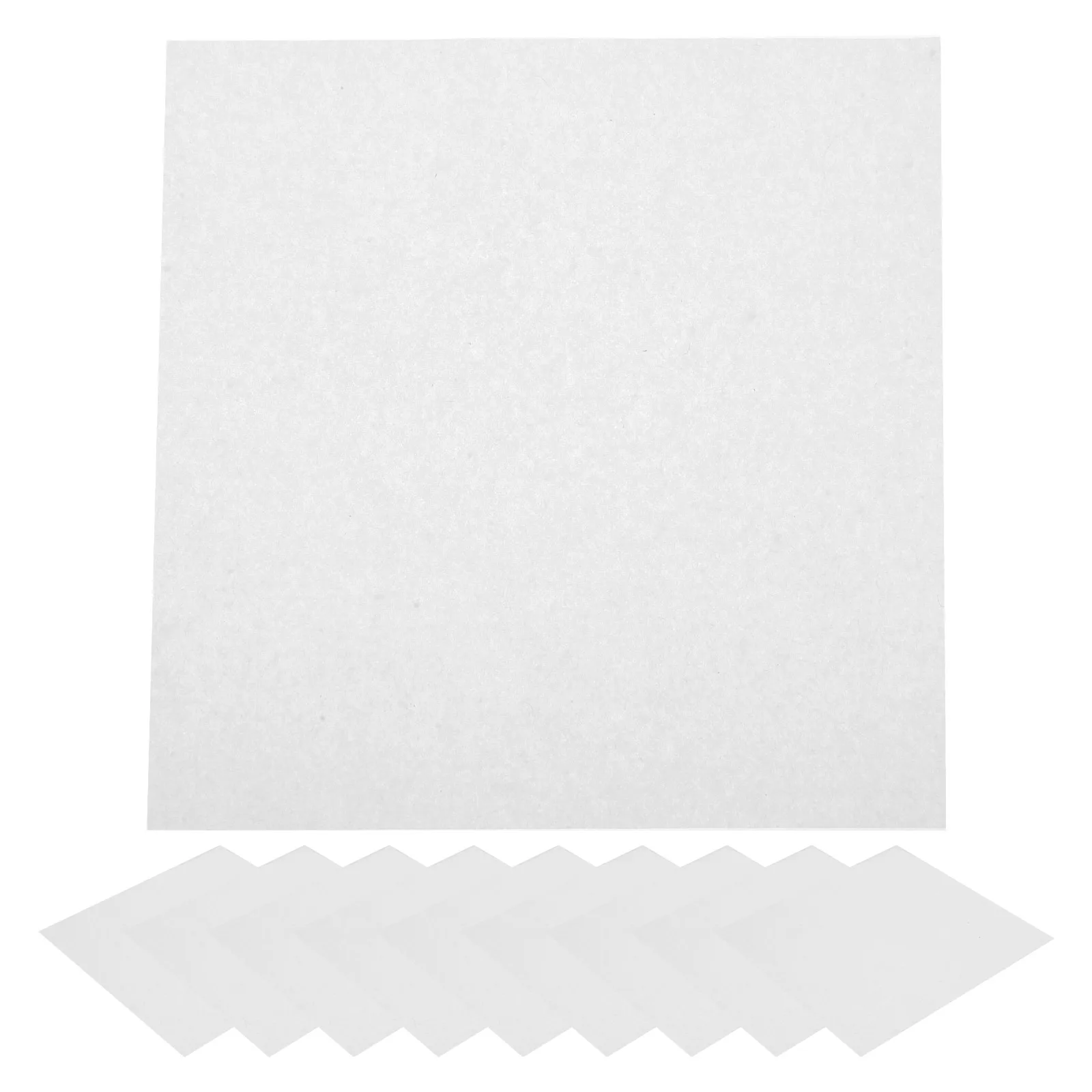 

10Pcs Press Flower Paper Refill Sheets for DIY Pressing Absorbent Plant Leaf Flower Pressing Paper Specimen DIY Tools