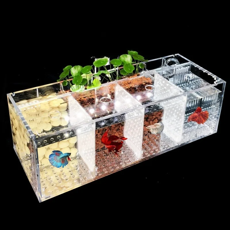 

Acrylic Isolation Betta Fish Tank No Water Change Built-in Water Pump Filtration System Small Transparent Aquarium for Home