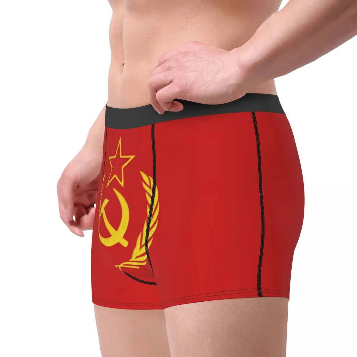 USSR Hammer And Sickle CCCP Russian Soviet Flag Underwear Men Sexy Print Custom Boxer Shorts Panties Briefs Soft Underpants