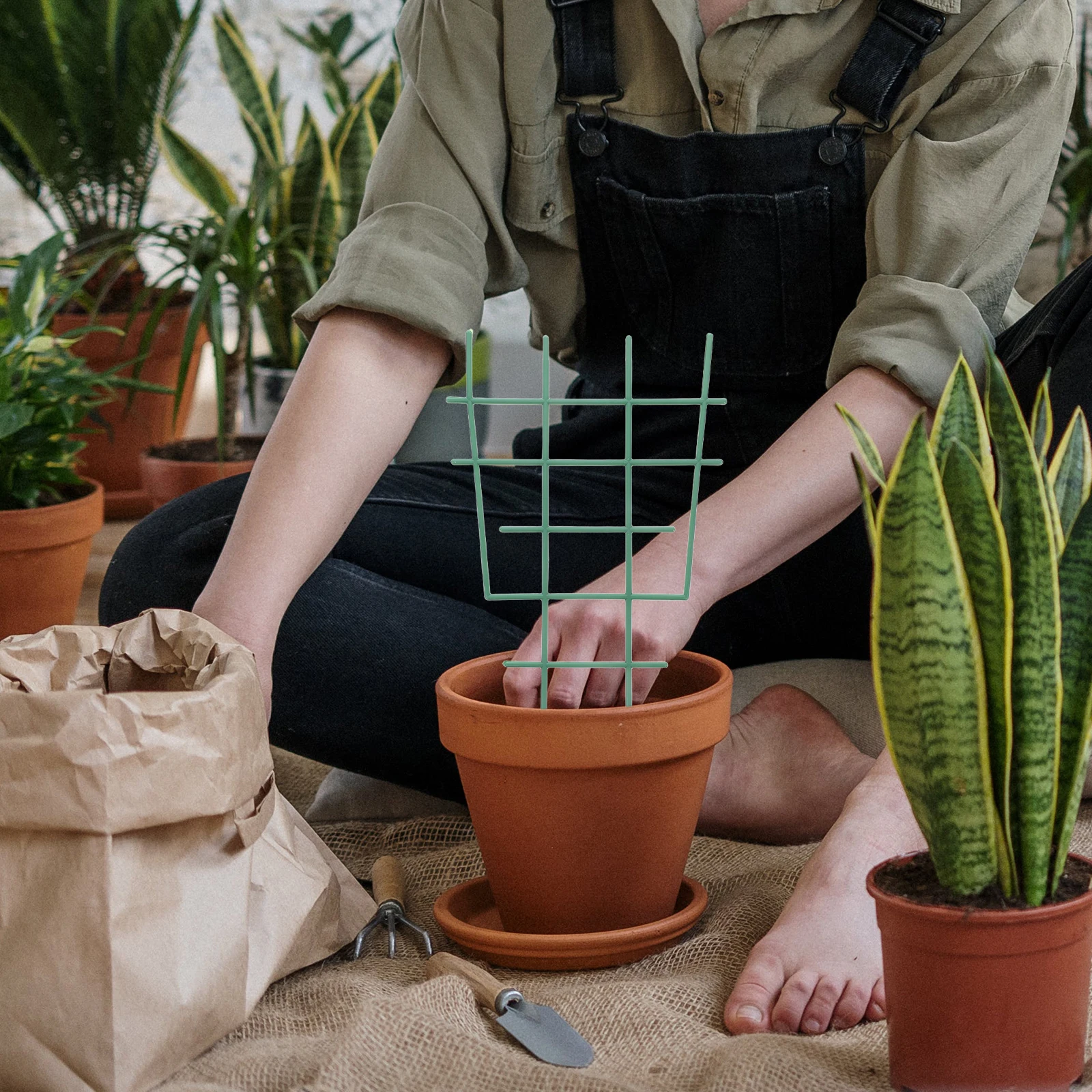 

2pcs Plant Support Stakes Decorative Trellis For Houseplants Garden Cucumbers Peas Beans Climbing Flowers Sturdy Reusable