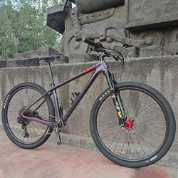 29 Inch 12 Speed Carbon Fiber Mountain Bike With Wire Controlled Air Fork 4 Bearing Wheel Set Oil  Brake MTB Bike