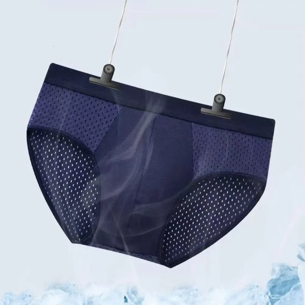 

4PCS Simple Low Waist Men Mesh Panties Briefs Oversize Male Thin Panties Elastic Male Lingerie Ice Silk Triangle Underwear Male