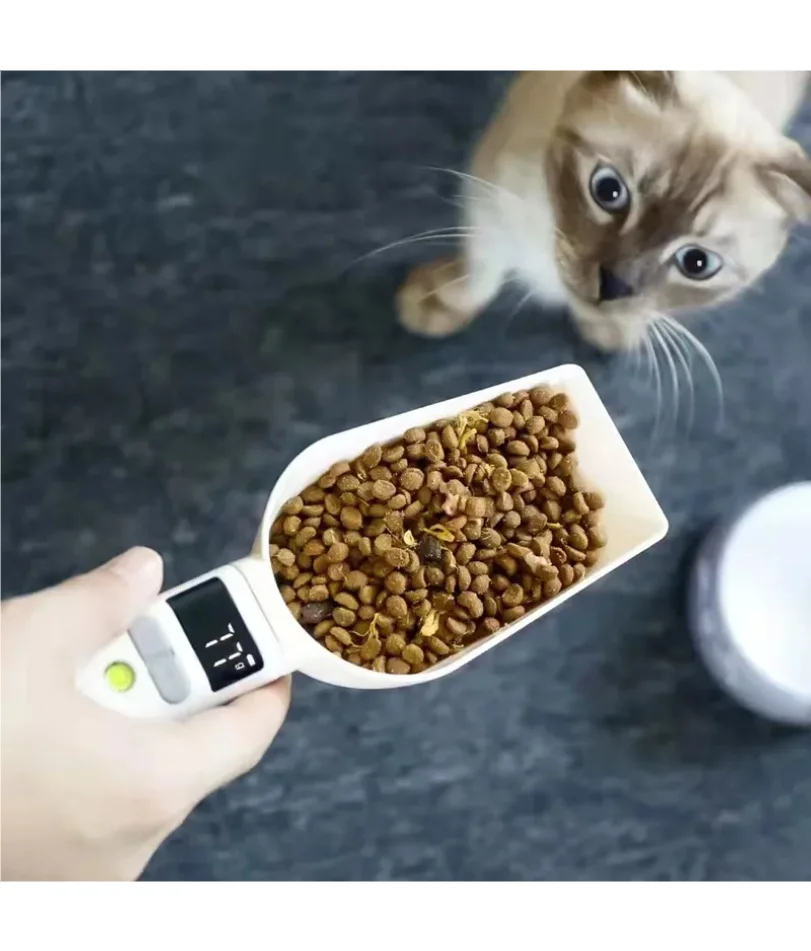 Waga kuchenna cyfrowa LCD prze – Kitchen Gadgets Under 500 recenzja i cena