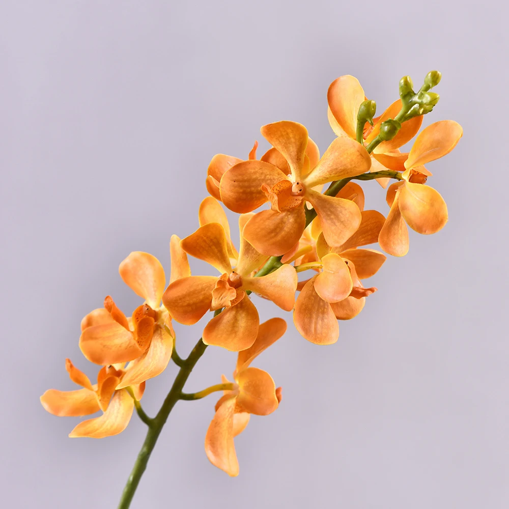 Real Touch Cymbidiu…