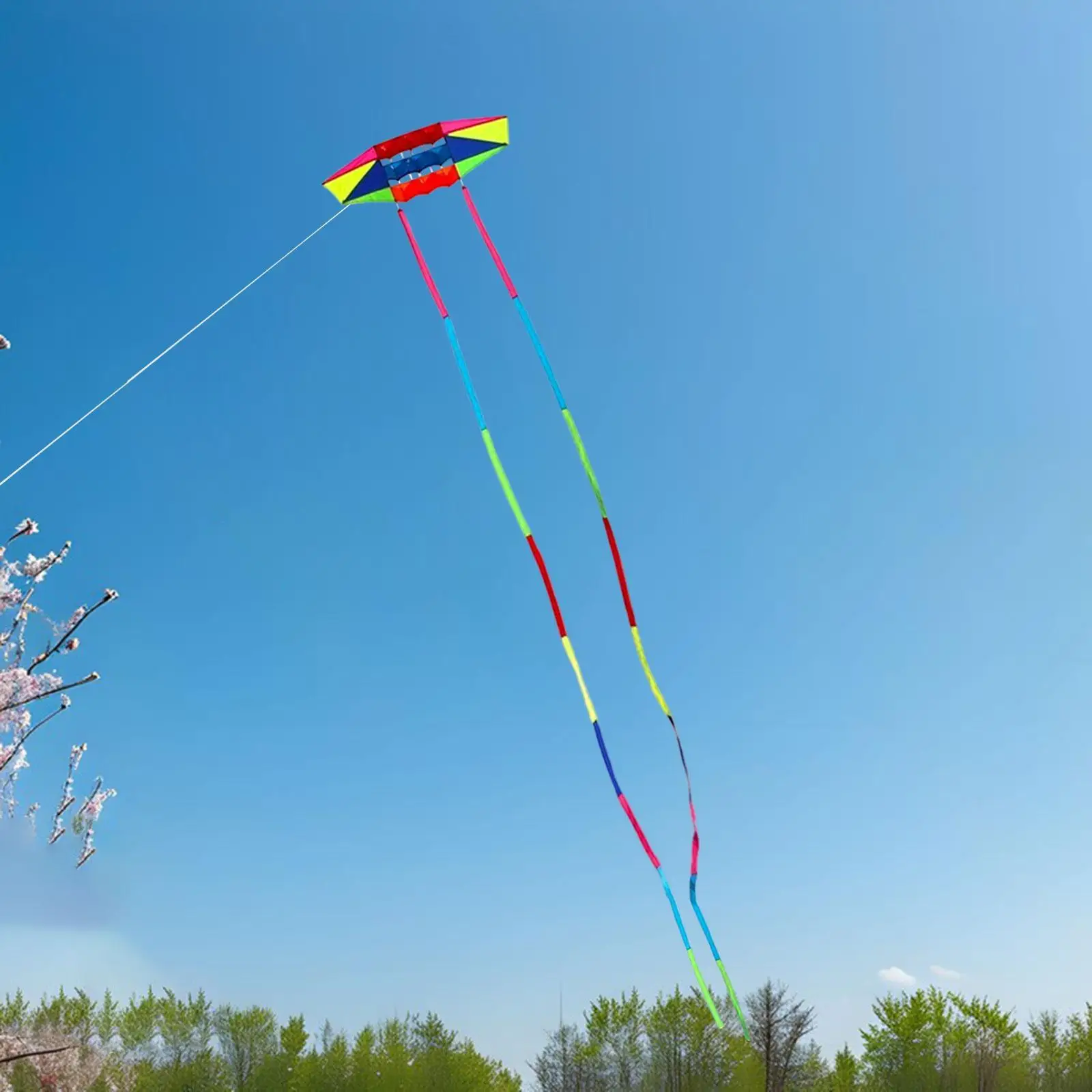 

Colorful Kite for Kids Adults Large Flying Toy for Garden Backyard Grassland