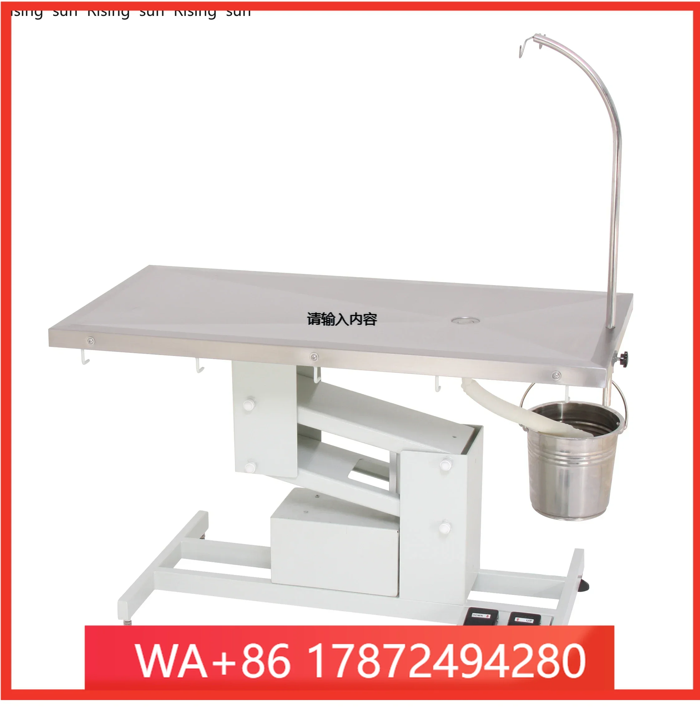 Stainless Steel eterinary Instrument Pet et Examination Surgery