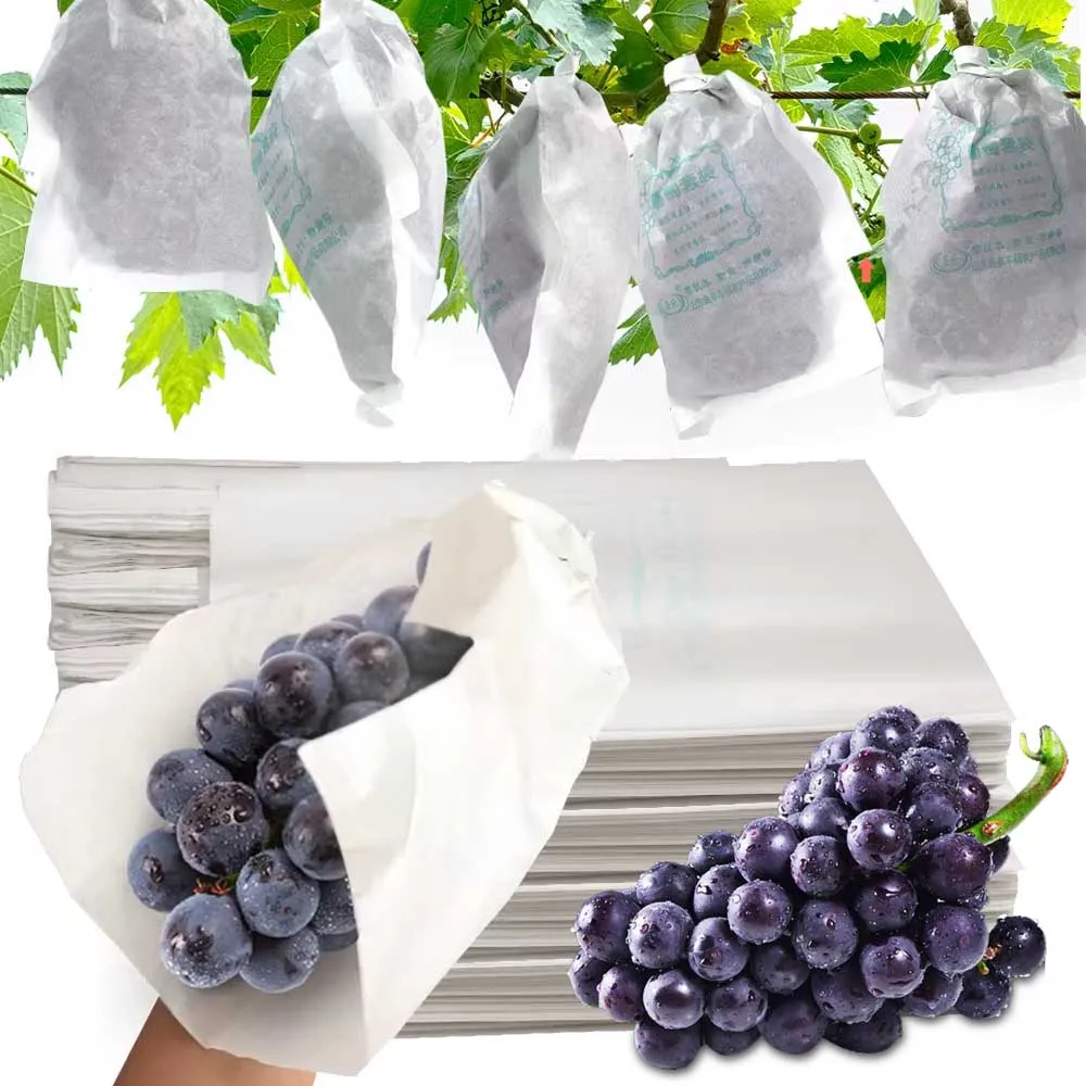 Bolsas de protección para uvas de huerto, 4 tamaños, Control de plagas, antiaves, cultivo de frutas, cubierta protectora, bolsas impermeables de papel blanco