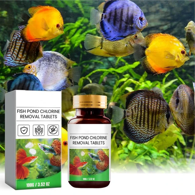 Fish Pond Chlorine Removal Tablets Aquarium Fish Tank Water Purifier Algae Remover Water Purification Cleaner Effervescent AliExpress