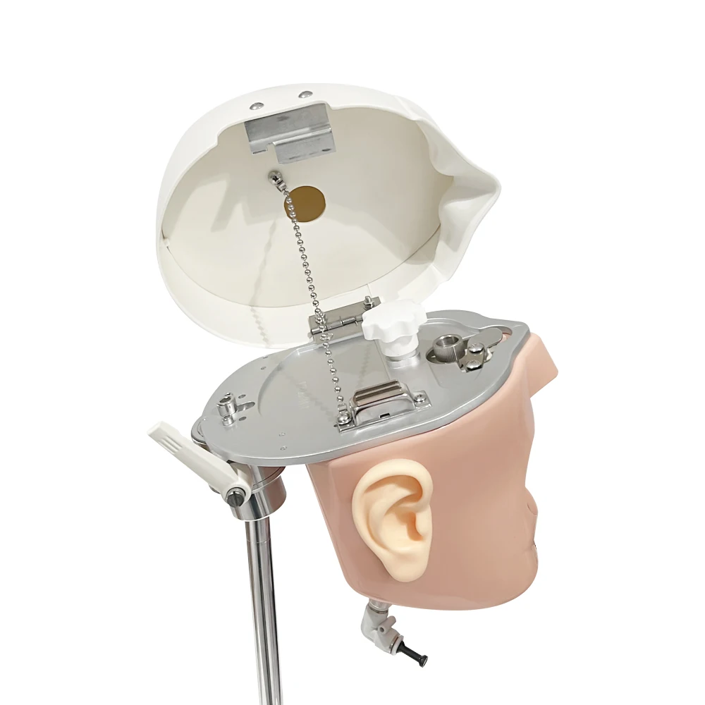 Dental Head Simulation Training Head Model with Shoulder Clamp Table Dental Laboratory Training Demonstration Teaching
