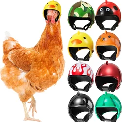 1Pc Chicken Helmet Small Pet Hard Hat Bird Quail Pigeon Hat Headgear Pet Bird Helmet DIY Cartoon Character Helmet Pet Supplies