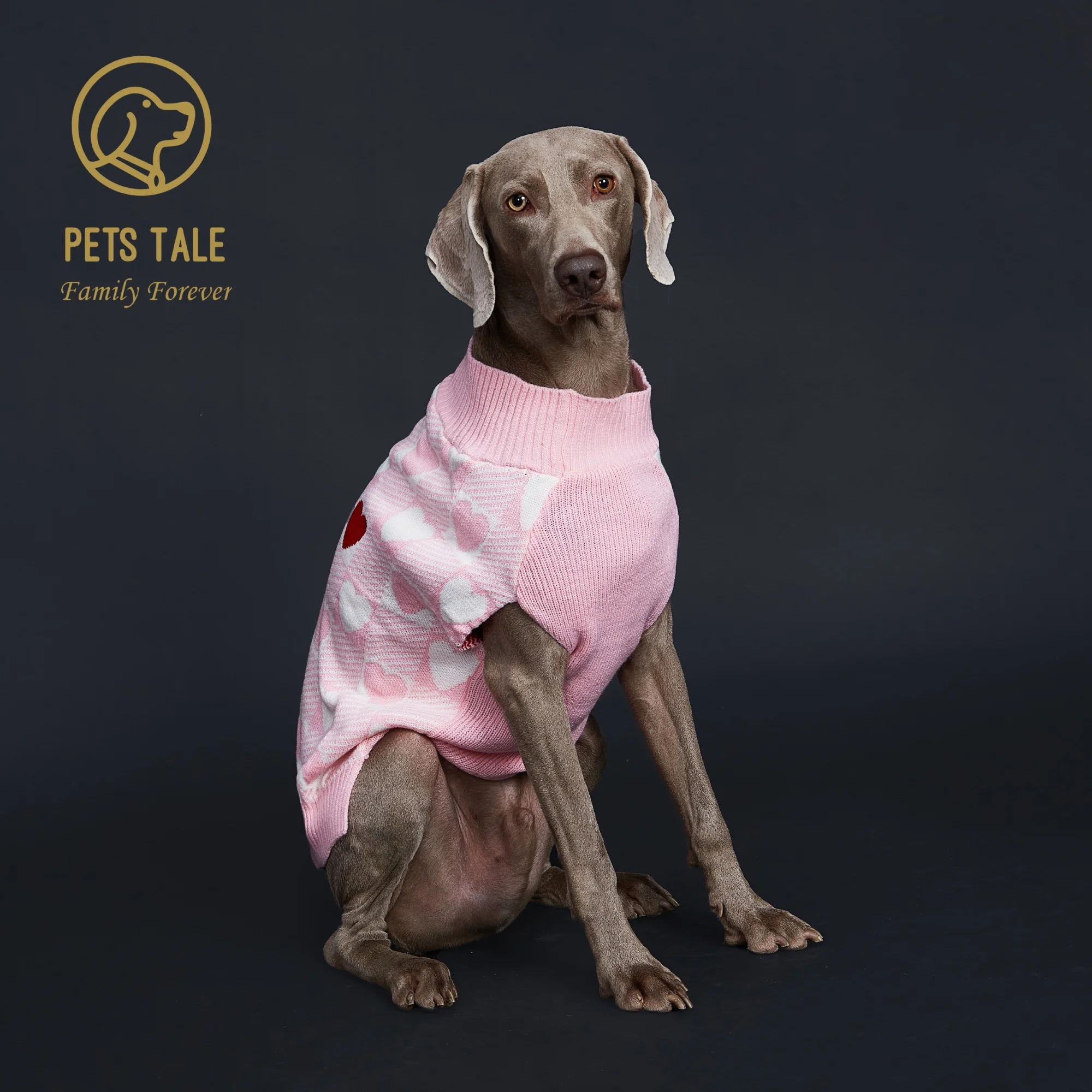 Hundepullover mit Büffelkaromuster, Herzintarsien und D-Ring-Öffnung_voghion.com