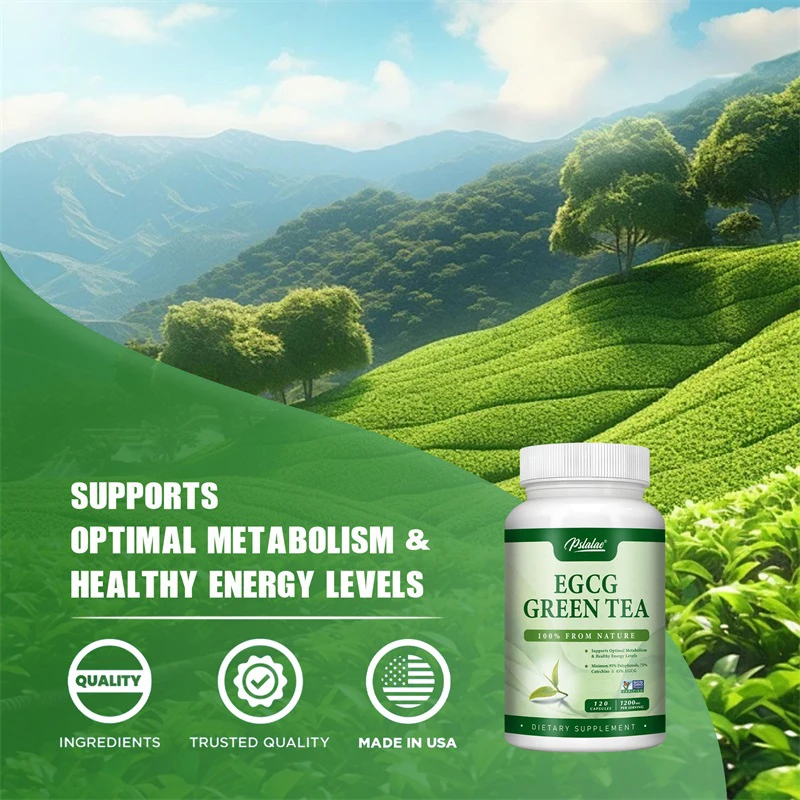 EGCG groene thee-extract - verhoogt het metabolisme en ondersteunt een gezonde vetverbranding, verhoging van energie en focus