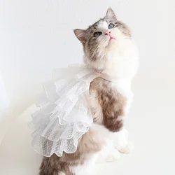 Hanpanda 2024 Spring&Summer Cat Lace Gypsophila Wedding Dress Sweet Pet Dress Cat Clothes Party Birthday Clothes for Female Cats