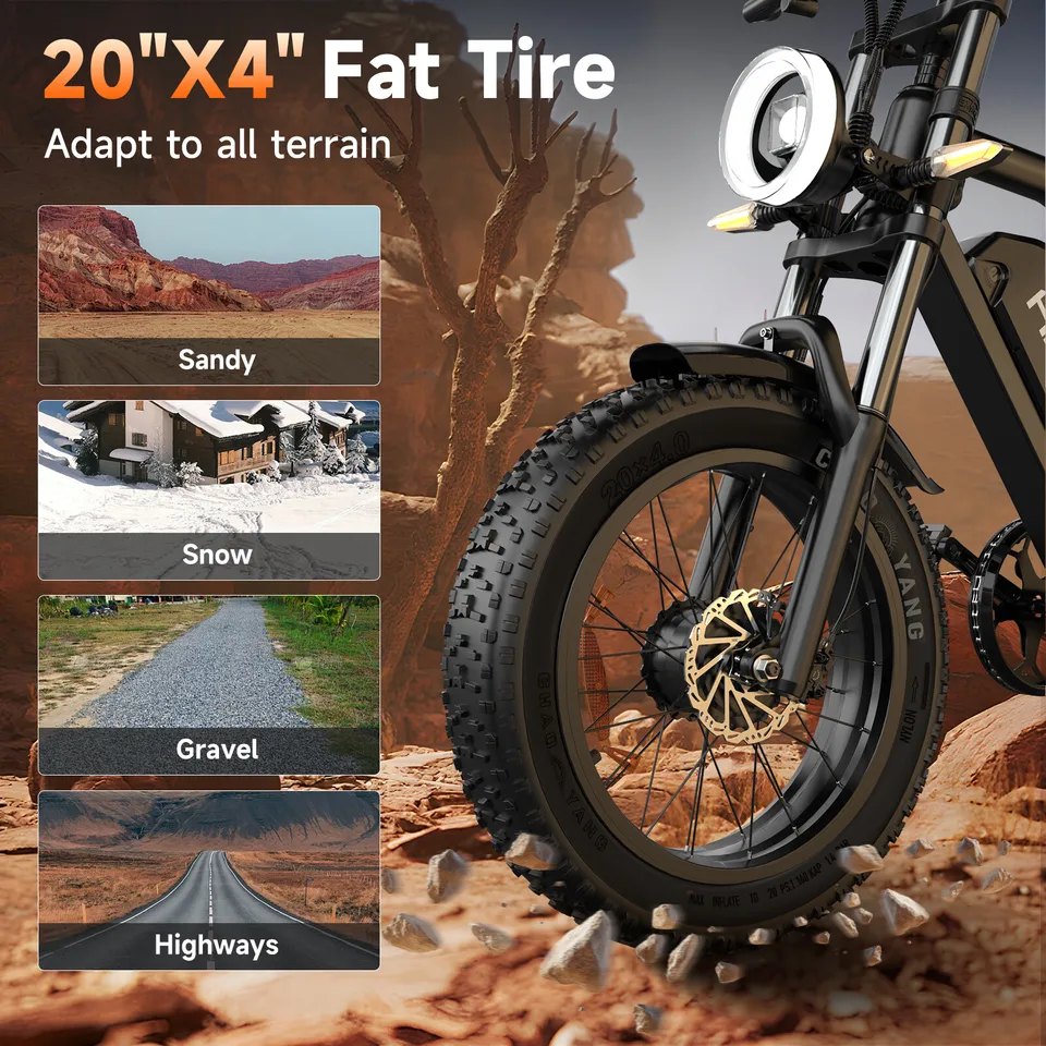 Dual Motor Electric bike 20" Fat Tire ebike 1500W Peak 48V 15.6Ah Hydraulic bike image 4
