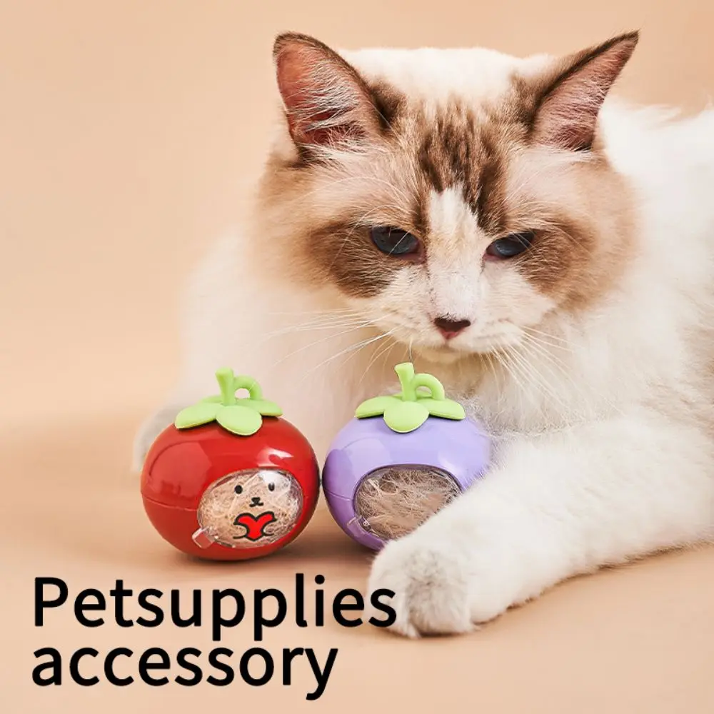 4 قطعة المفاتيح الإبداعية شعر الحيوانات الأليفة شفافة DIY بها بنفسك الكلب الفراء تخزين قلادة لطيف الغبار الحيوانات الأليفة التذكارية حلقة رئيسية